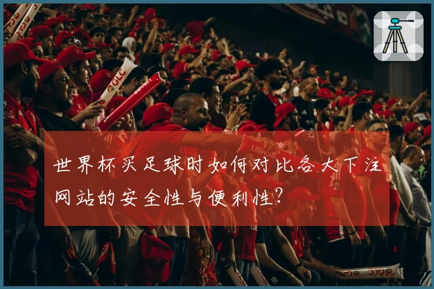 世界杯买足球时如何对比各大下注网站的安全性与便利性？