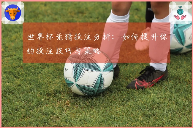 世界杯竞猜投注分析：如何提升你的投注技巧与策略