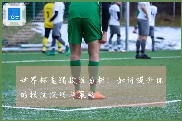 世界杯竞猜投注分析：如何提升你的投注技巧与策略
