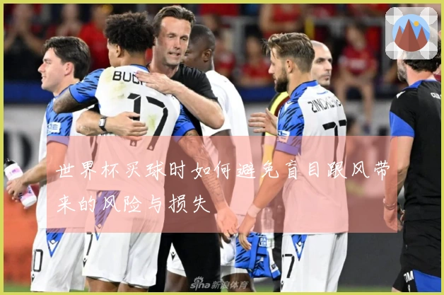 世界杯买球时如何避免盲目跟风带来的风险与损失